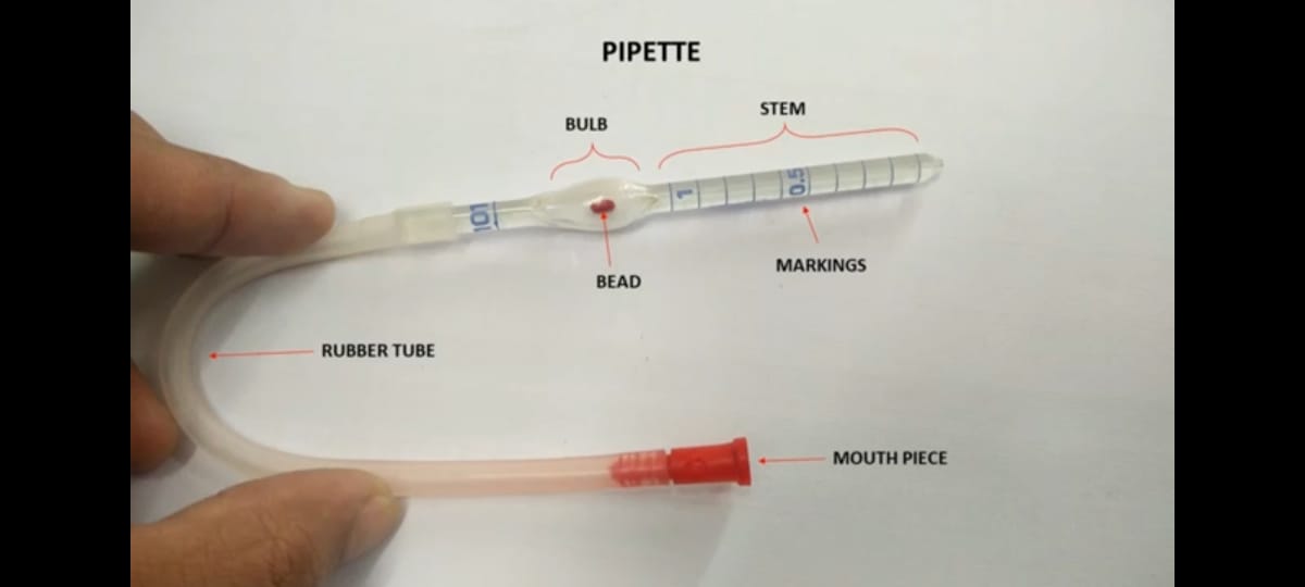 Manual Cell Counting Using Neubauer Chamber RBC Count WBC Count