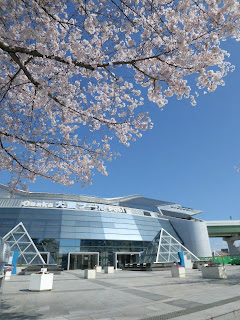 大阪プールの桜