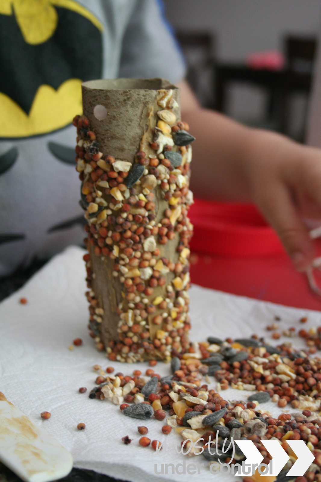 DIY Paper Plate Bird Feeder Mostly Under Control