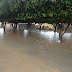 Com forte chuva, ruas de vários bairros de Bom Jesus da Lapa voltam a ficar alagadas 