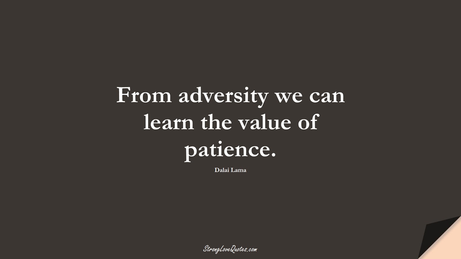 From adversity we can learn the value of patience. (Dalai Lama);  #LearningQuotes