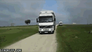 unleash-the-birds.gif
