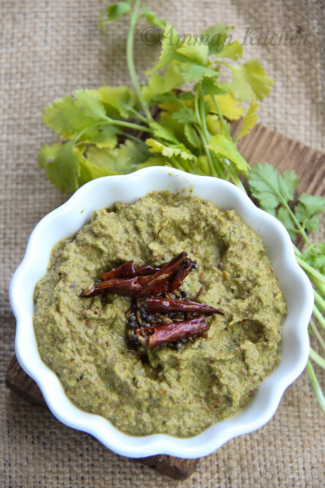 Coriander Peanut Chutney Indian Food Recipes Ammaji Kitchen
