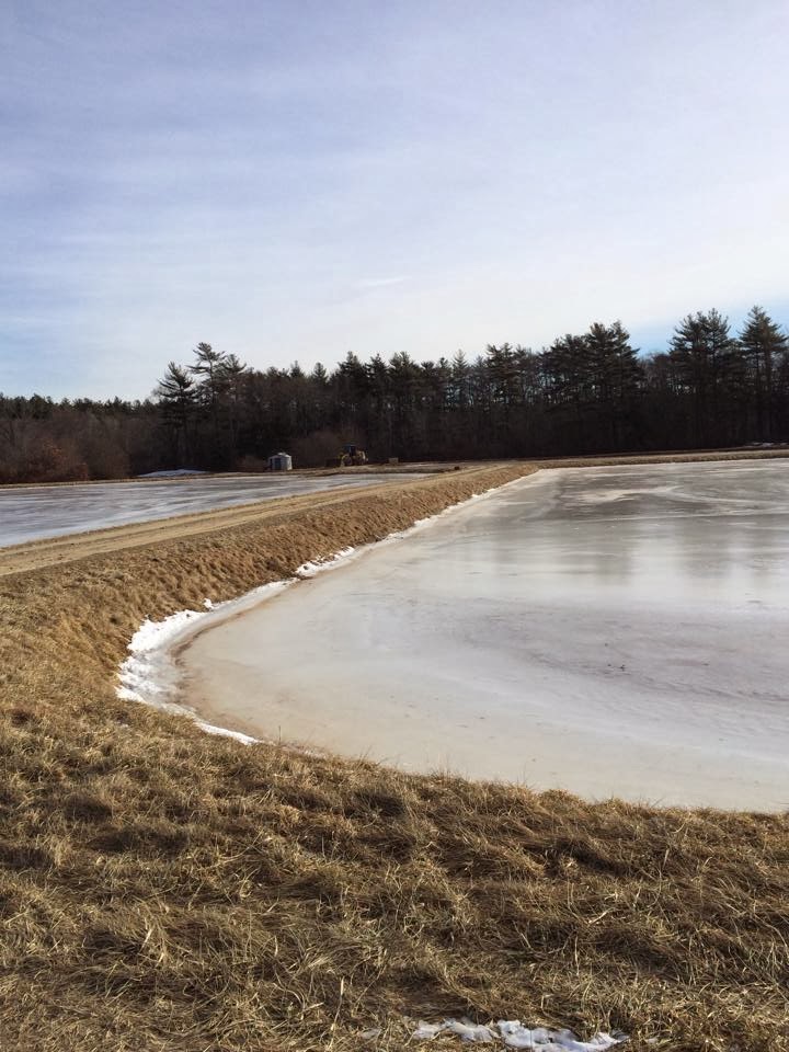 Elaine's Creative Works Winter Ice Sanding on the Cranberry Bogs