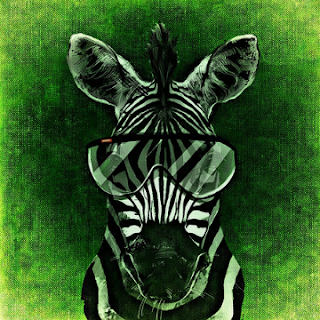 cool zebra pfp with glass