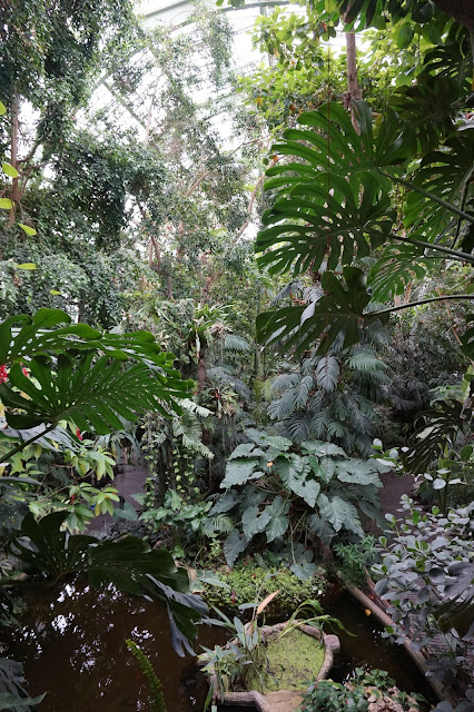 Jardin des Plantes - Serre des forêts tropicales humides