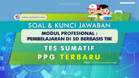 Soal Dan Kunci Jawaban Tes Sumatif Modul Matematika Ppg Terbaru Arnaim Com
