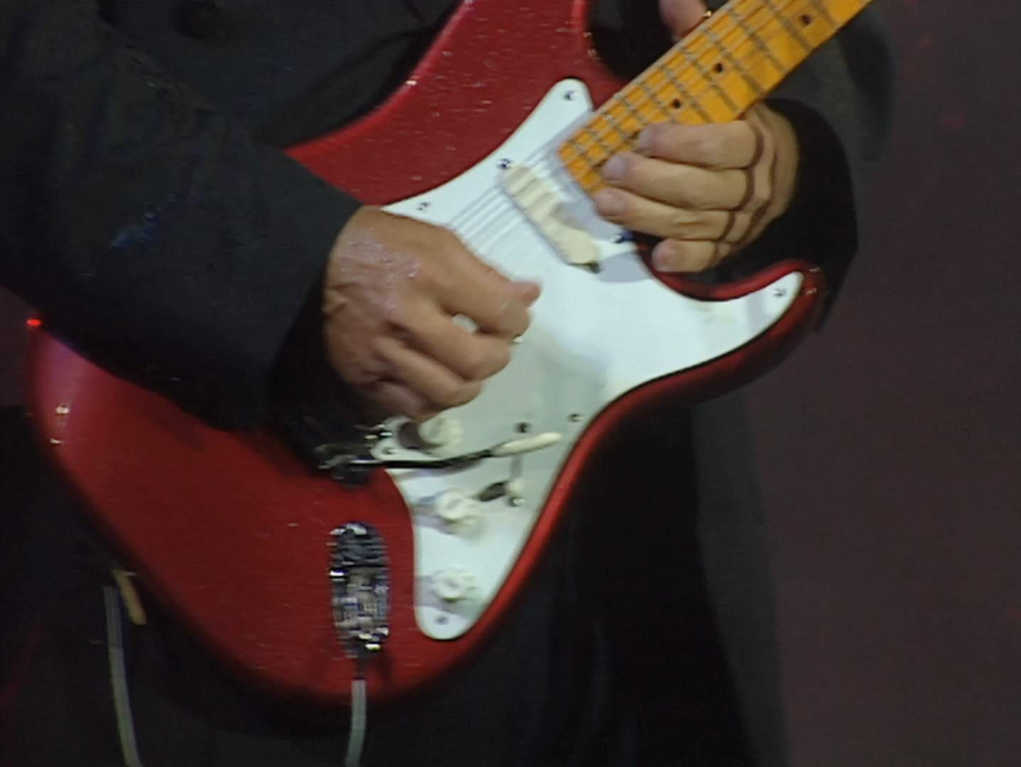 Pink Floyd Ilustrado Venice Concert 1989 & Knebworth Concert 1990