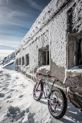 Pink Rims Winter Fatbike Lorenzenberg Brenner