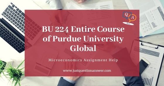 Purdue global homework image