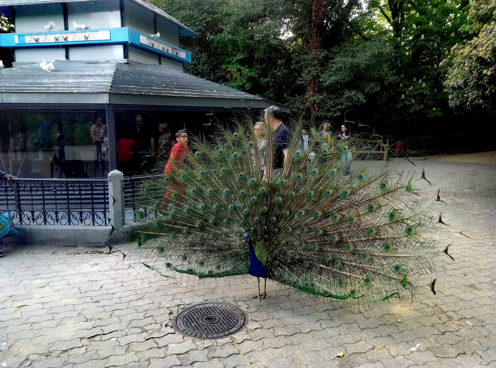 todo sobre valladolid Campo grande