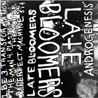iamtheleastmachiavellian: Late Bloomers - Androgenesis EP [2017]