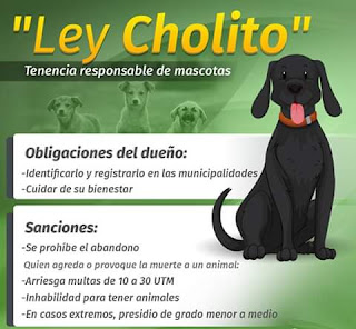  El próximo martes 12 de febrero se cumple el plazo para registrar a las mascotas en el Registro Nacional que estipula la denominada "Ley Cholito"