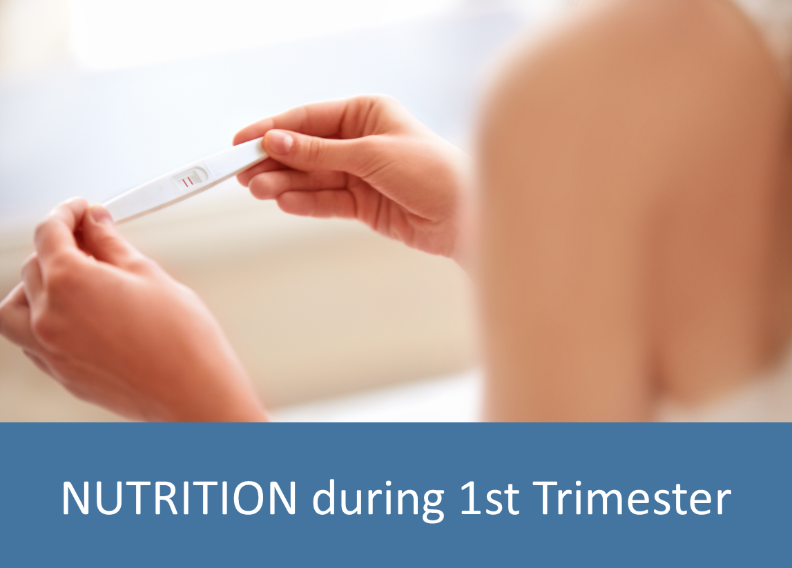 Nutrition during pregnancy first trimester