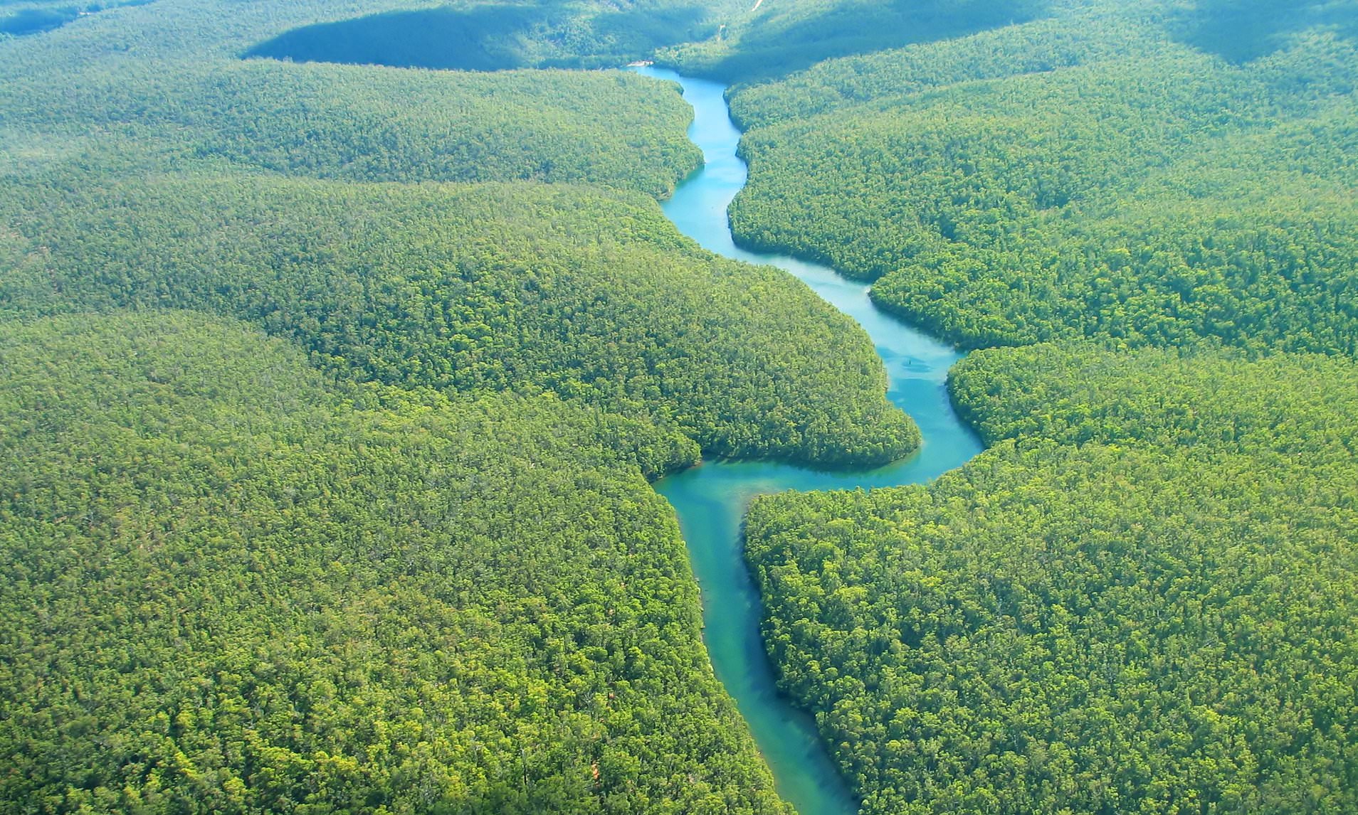 The Amazon Word's largest rainforest on the