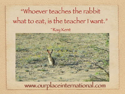 Year chinese happy archies cards rabbit lunar teachers network english rodney whatt chai tan pm posted The Latest Shit: Lunar New Year Greetings