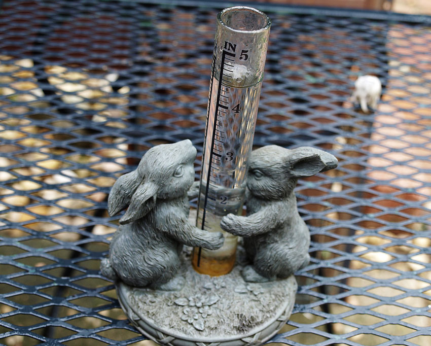 Pellet Smoker Cooking Rain, Rain, Rain