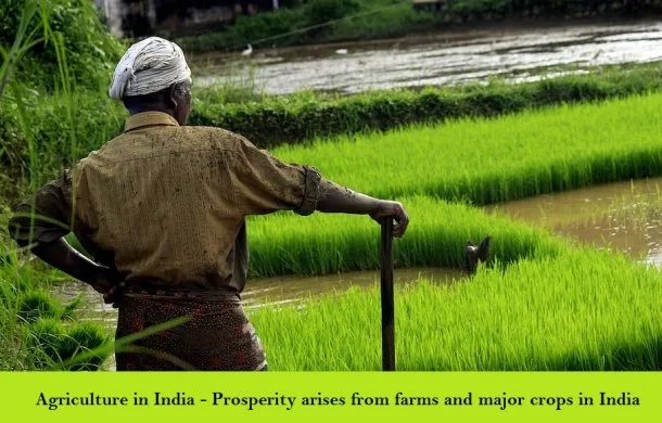 Agriculture in India - Prosperity arises from farms and major crops in India