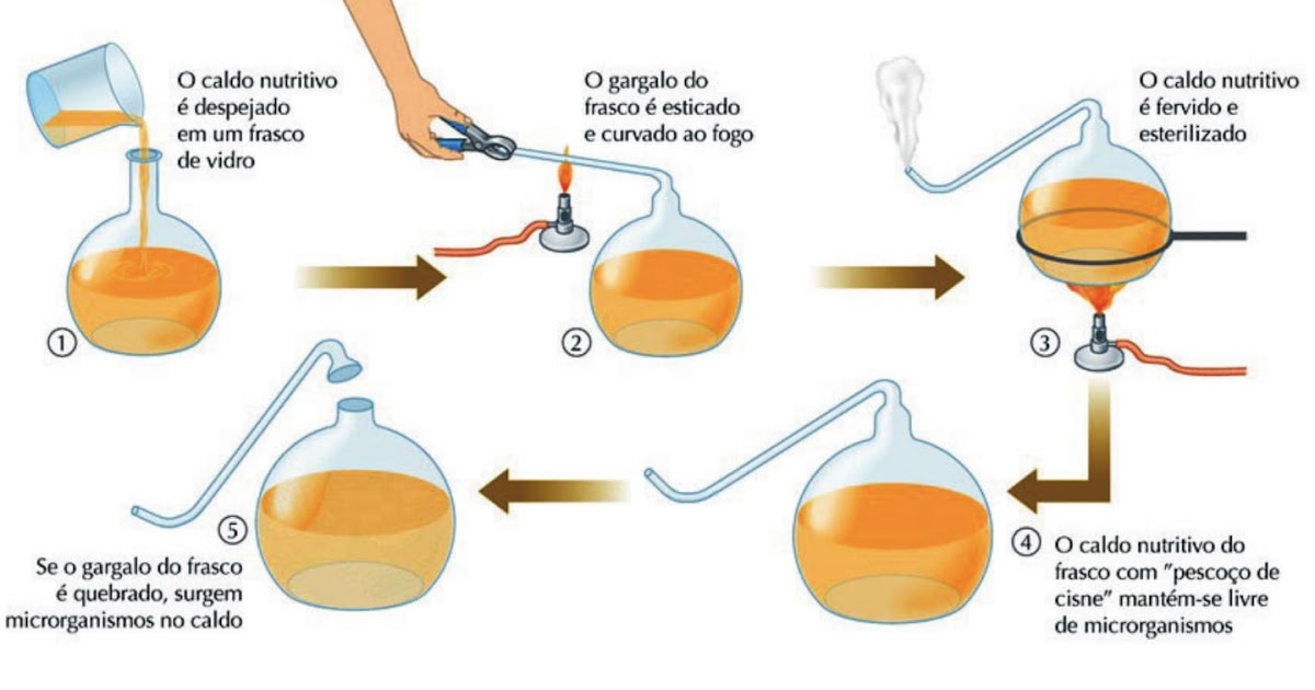 UEMA 2019 Para que Pasteur derrubasse a teoria da abiogênese, no experimento, a etapa decisiva