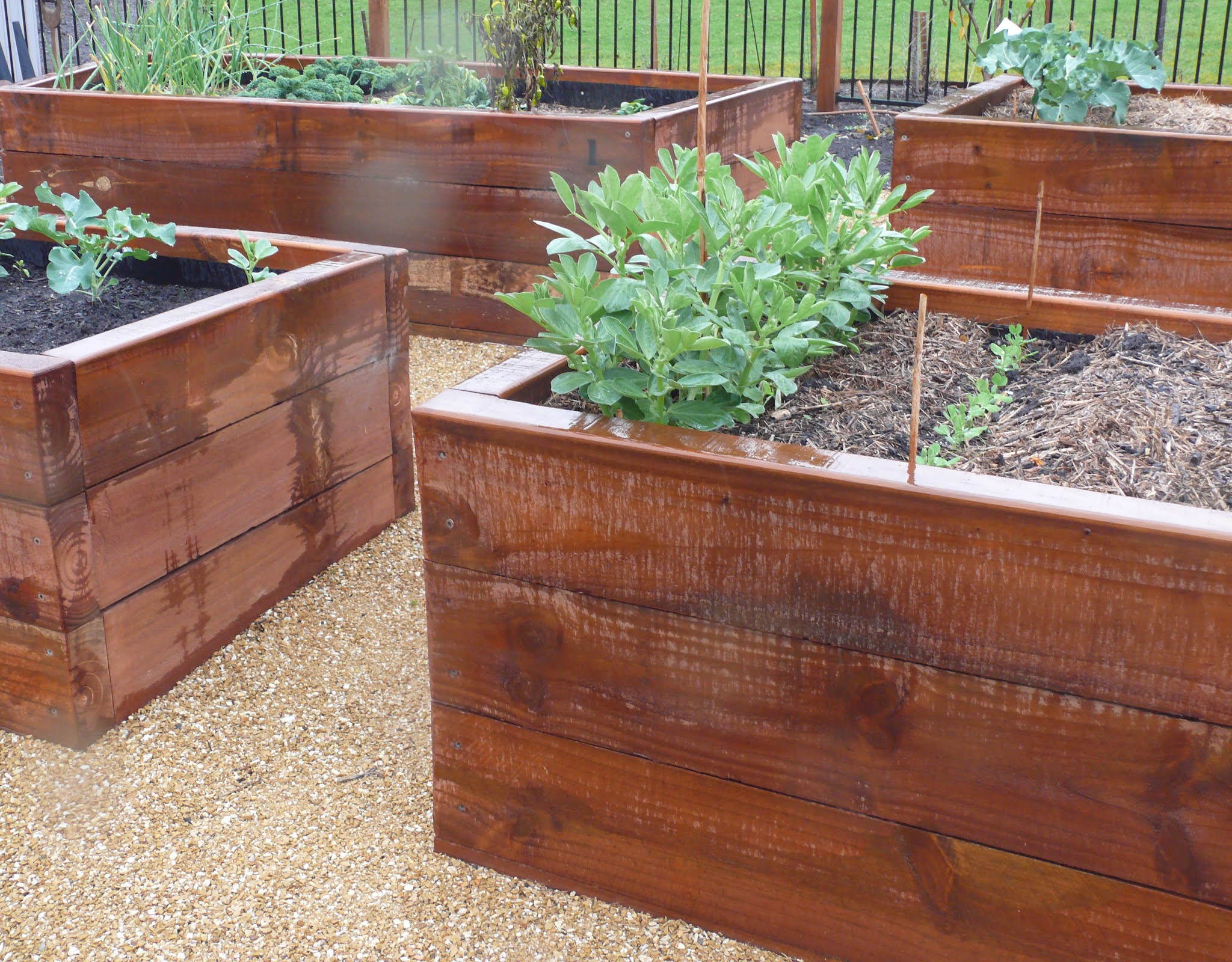 The Food Garden Group Blog Adding a Raised Bed