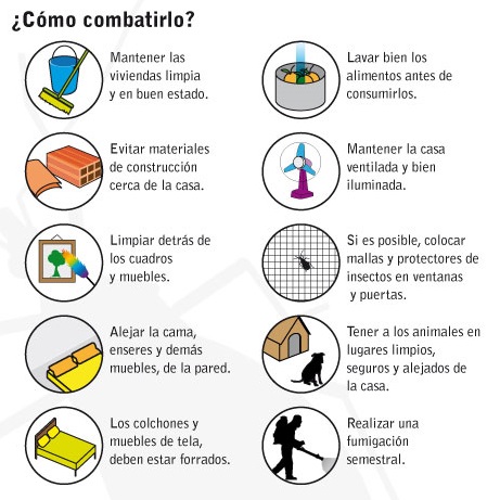 Mal De Chagas Puede Afectar A Cualquiera