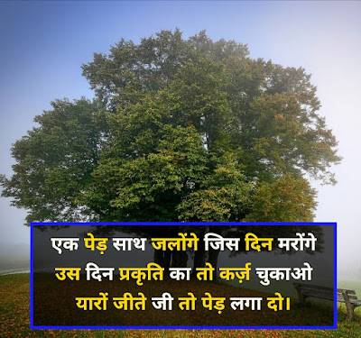 Image For Tree Shayari