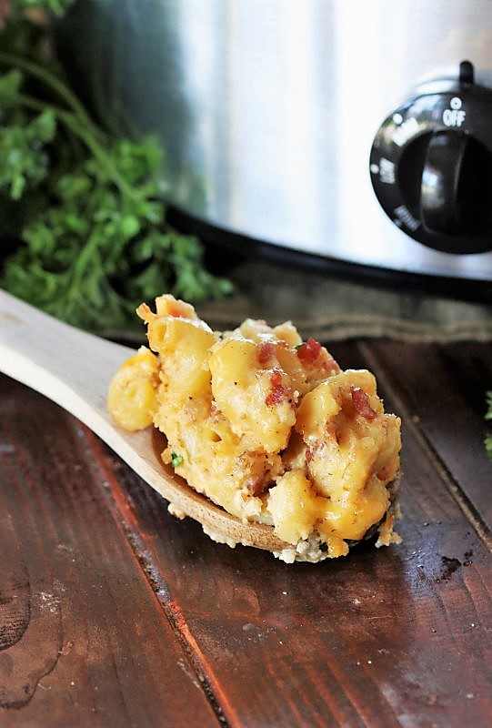 Slow Cooker Bacon Macaroni and Cheese The Kitchen is My Playground