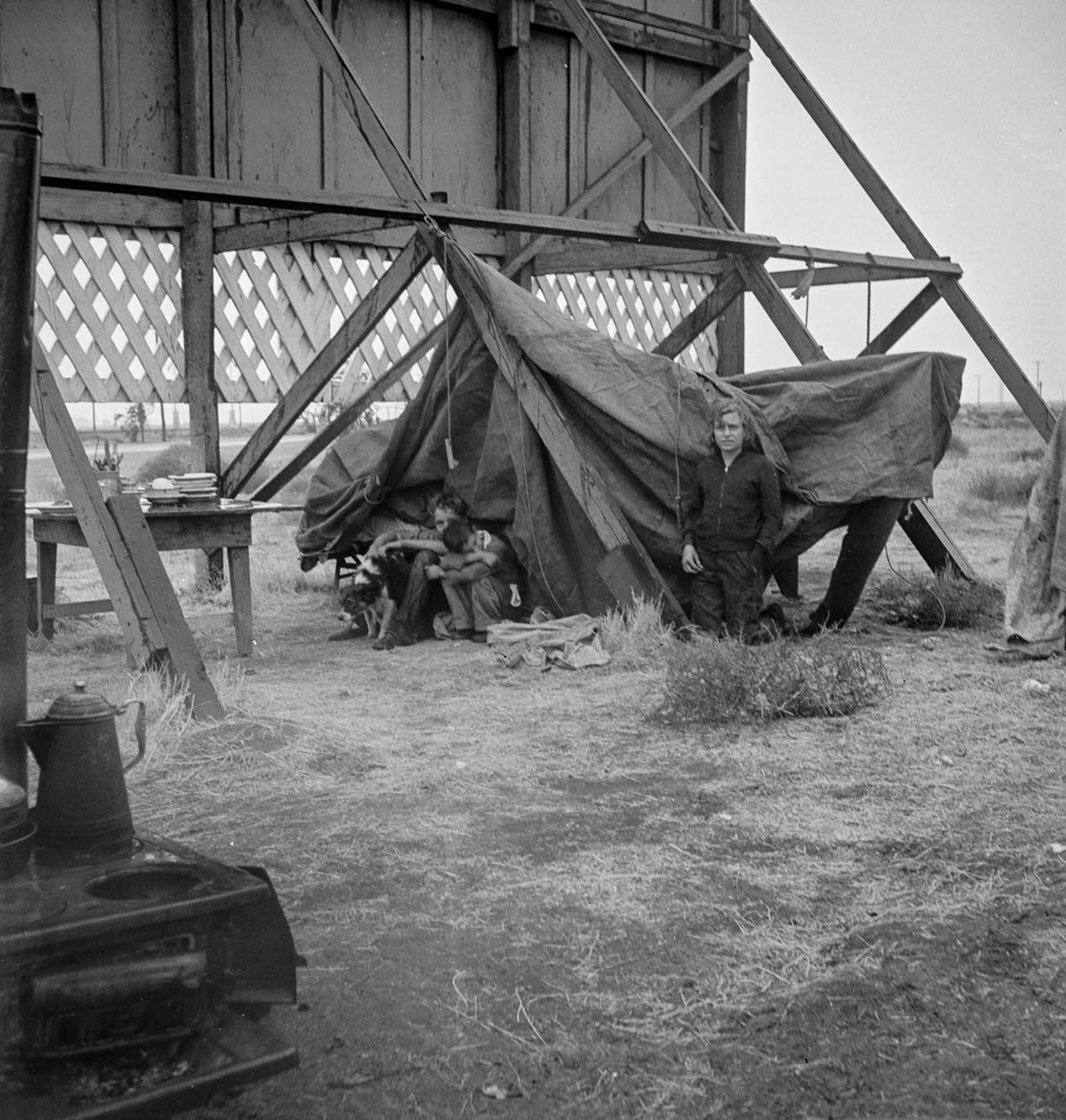 A family camps out behind a billboard on Highway 99 in Kern County, California. 1938.