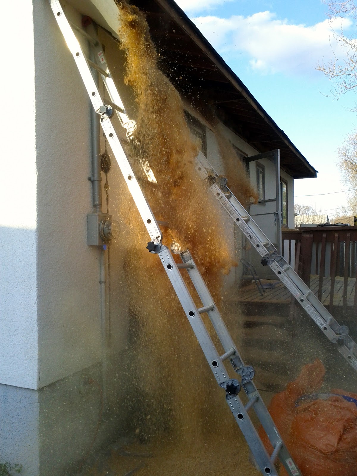 Meghan Franklin Communications Sawdust is Bad, Asbestos is Worse