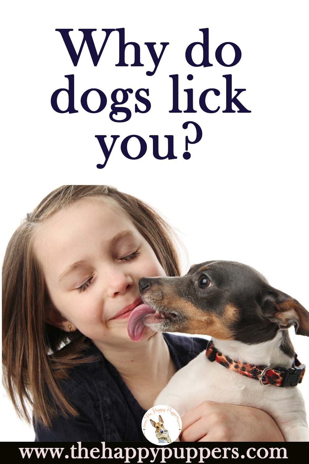 Why do dogs lick you?