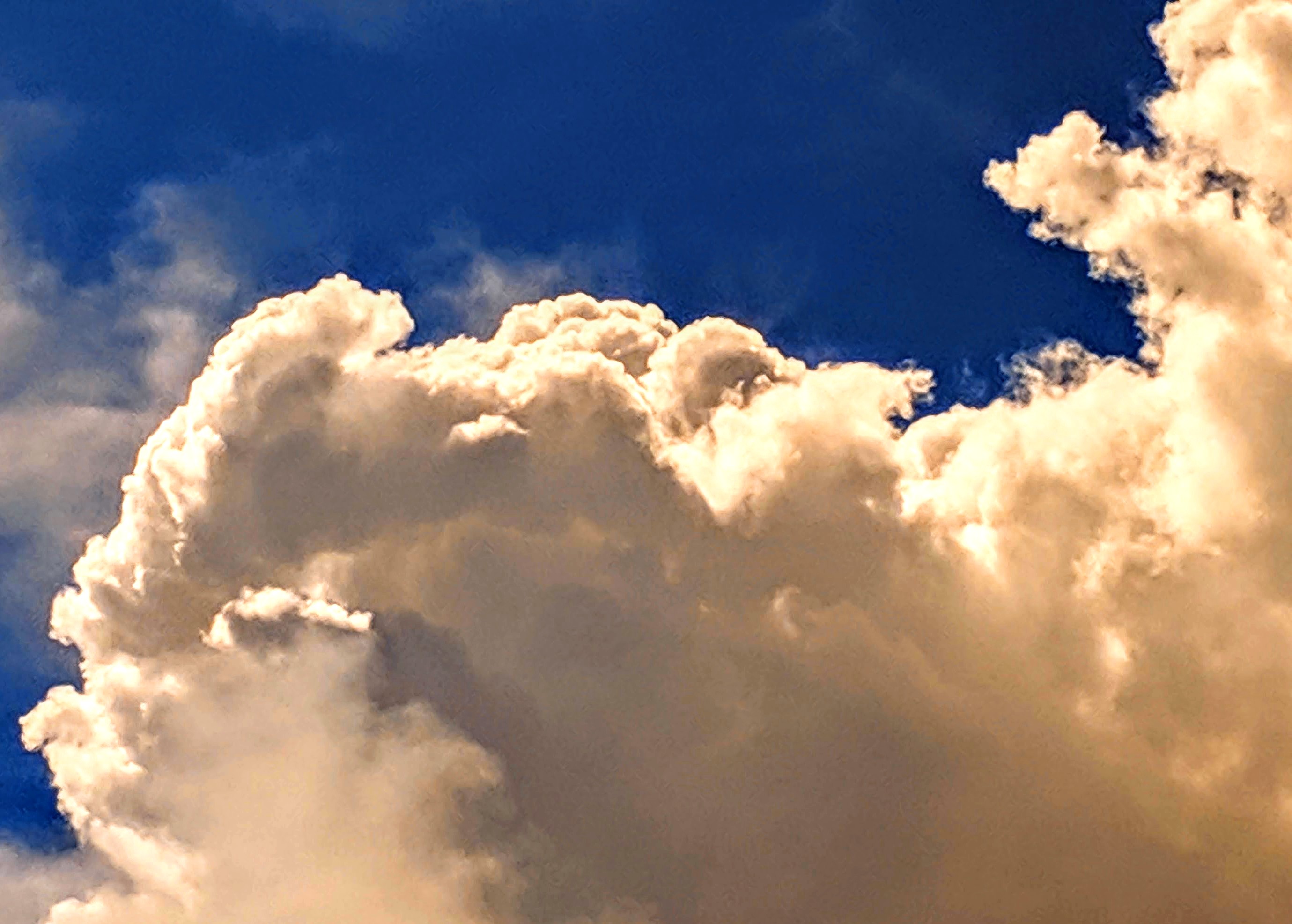 Fluffy white cloud against a blue summer sky