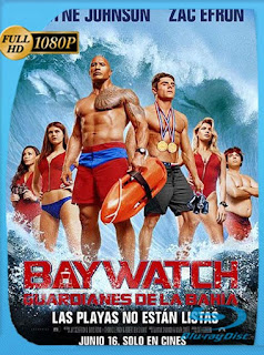 Los guardianes de la bahía (2017) HD [1080p] Latino [GoogleDrive]