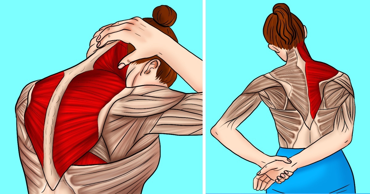 6-super-easy-stretches-to-relieve-stiff-neck-and-shoulder-tension