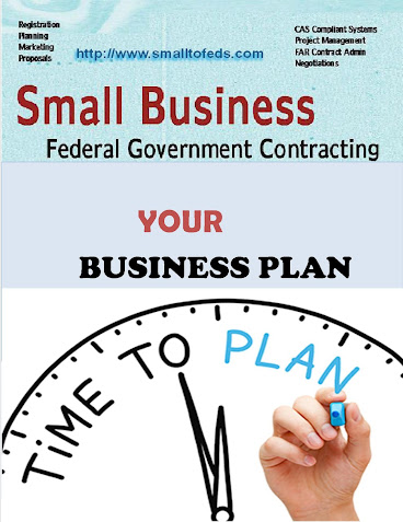 business plan of government