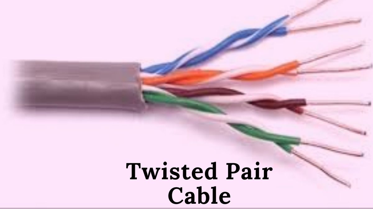 Networking and Class 10 Computer Science Chapter 1