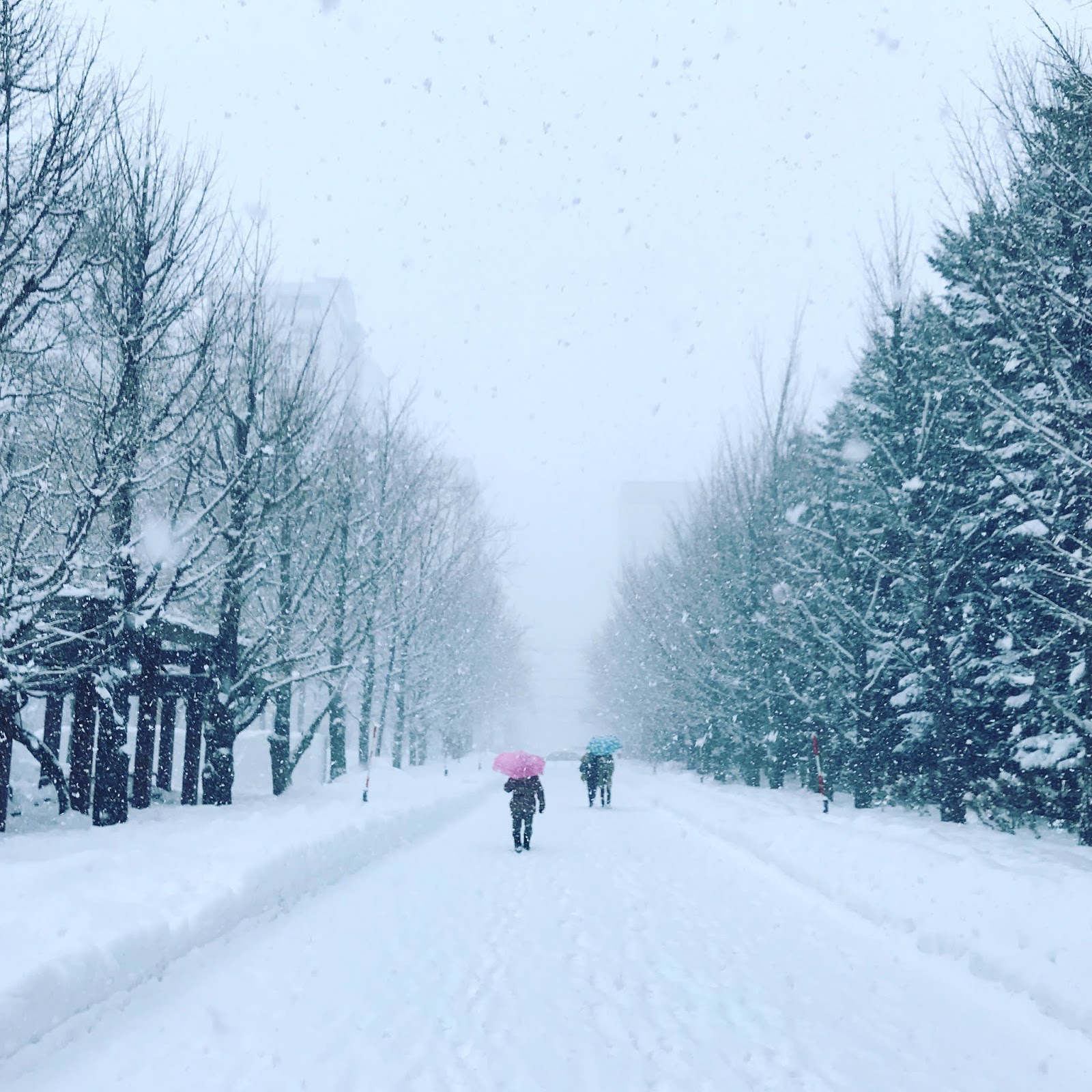 混搭旅遊 北海道 札幌quintssea飯店 附近的中島公園非常美