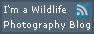 Wildlife Photography Blogs