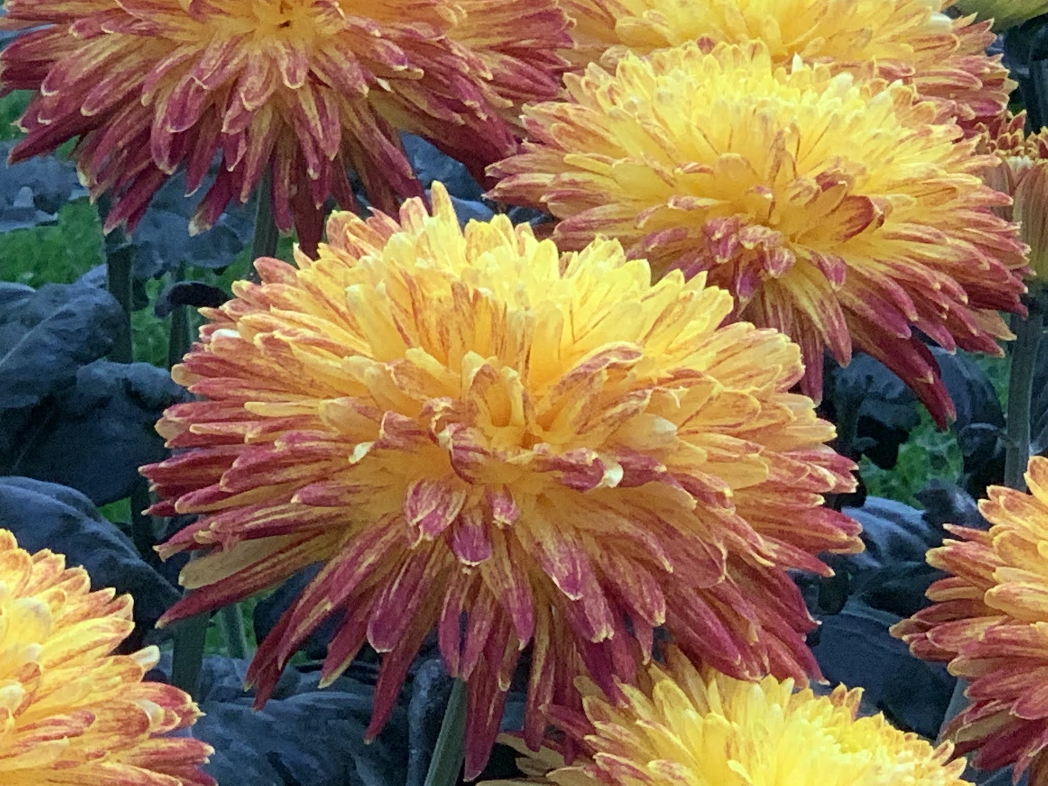 У каждого камушка есть смысл и назначение в жизни