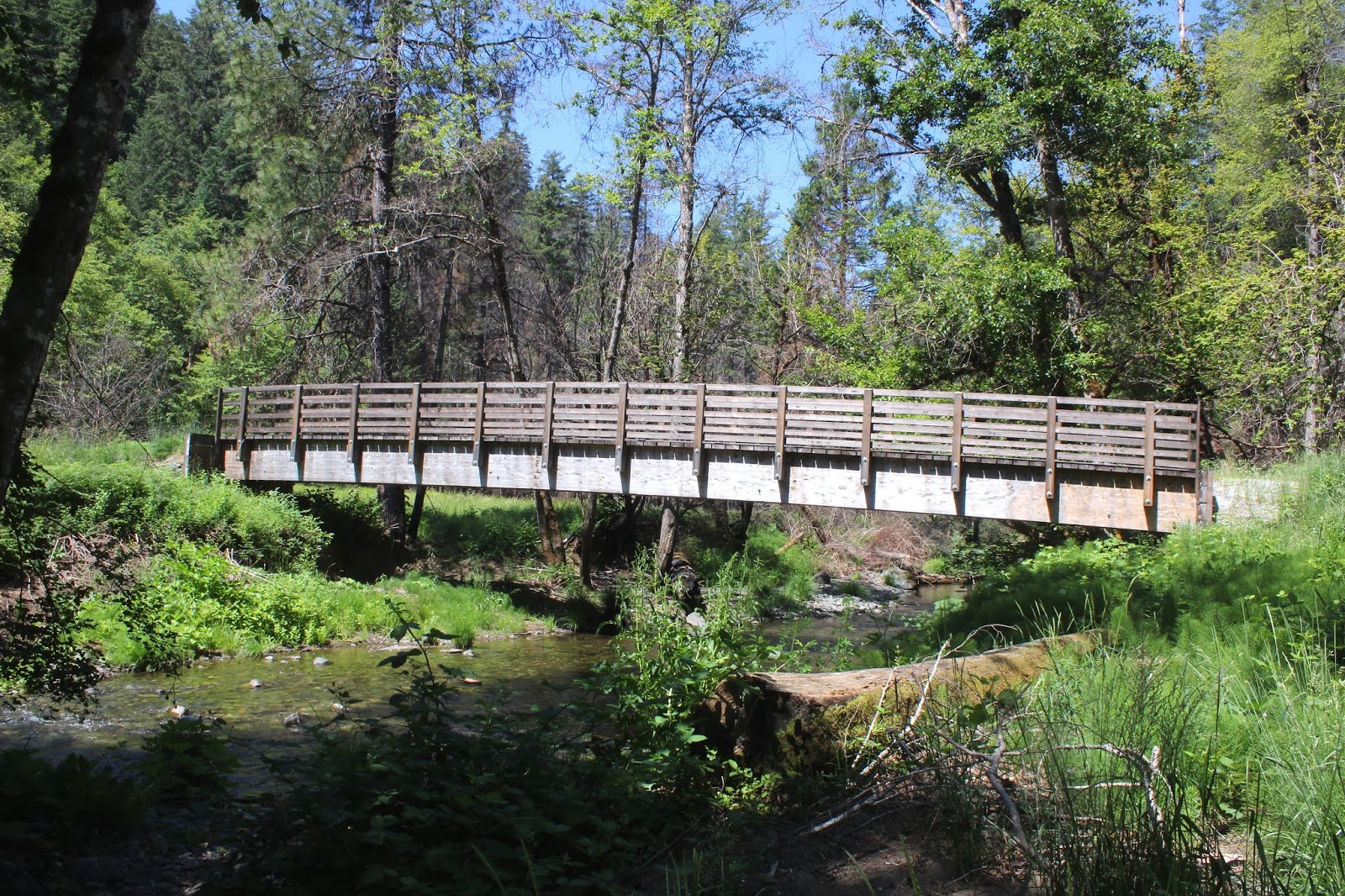 Richard Hikes Taylor Creek