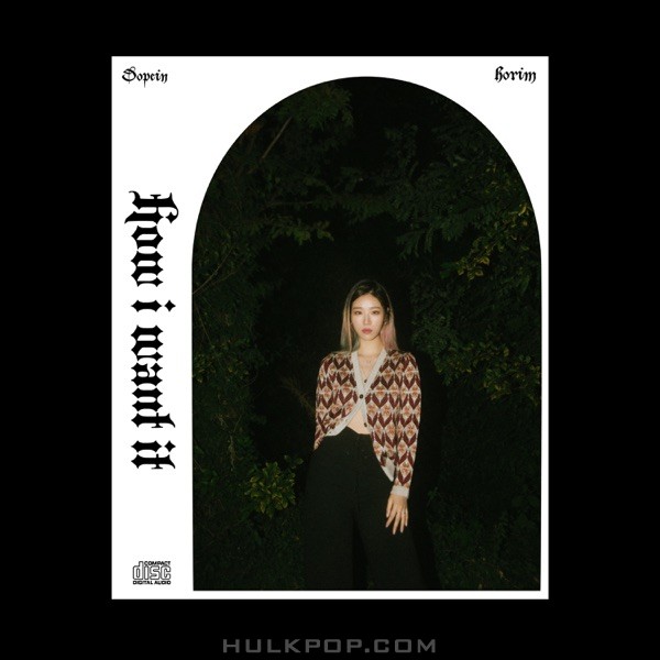 Dopein – How I want it (feat. Horim) – Single