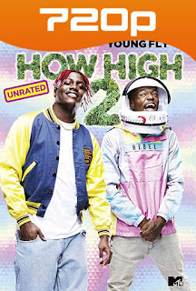 How High 2 (2019) HD [720p] Latino-Ingles