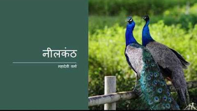 Class 7 hindi chapter 15 neelkanth ka saransh Neelkanth ka sar, nilkanth ka question answer, extra questions of nilkanth