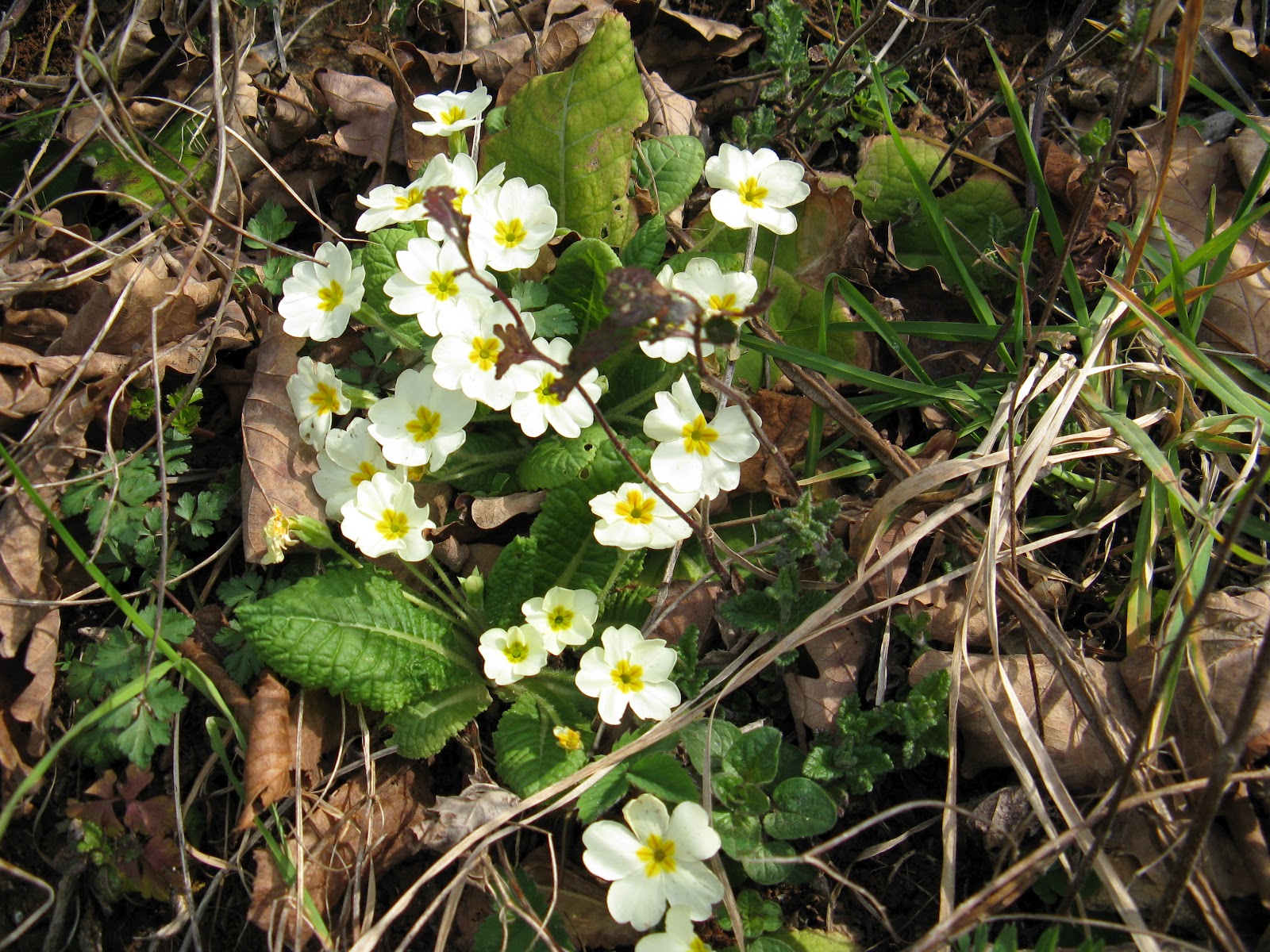 � ��� ��� "������� ����"..��� 15