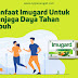 Manfaat Imugard untuk Menjaga Daya Tahan Tubuh