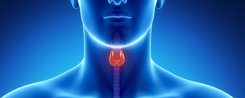 olur tiroid kanser demek mi tiroit