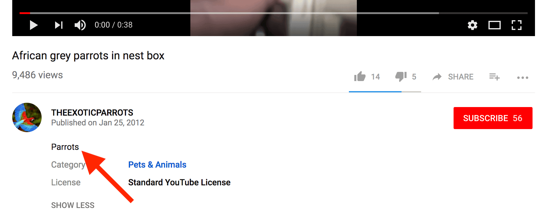 How To Make Your Youtube Channel Look professional|Must Read