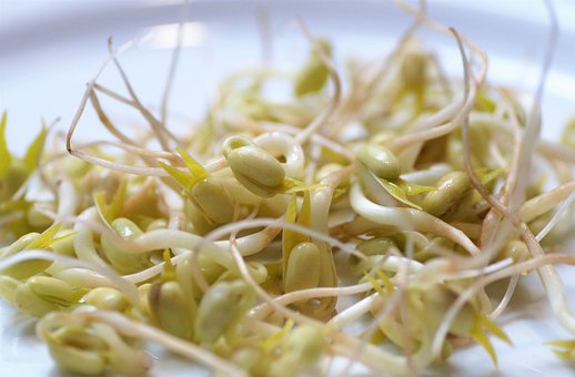 मूंग दाल के 10 फायदे : मूंग दाल के फायदे नुकसान : 10 Benefits of Mung Beans in Hindi 