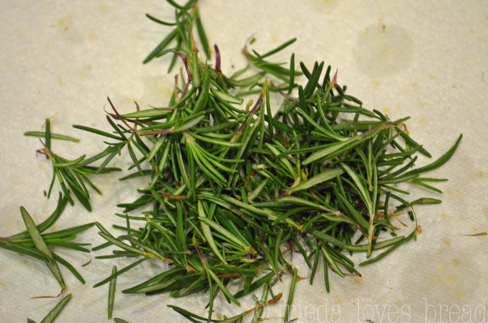 Frieda Loves Bread Freezing Rosemary & Other Herbs
