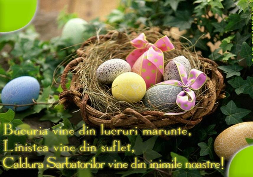 O Faclie De Paste Rezumat Cure Dentali : Paste Fericit!