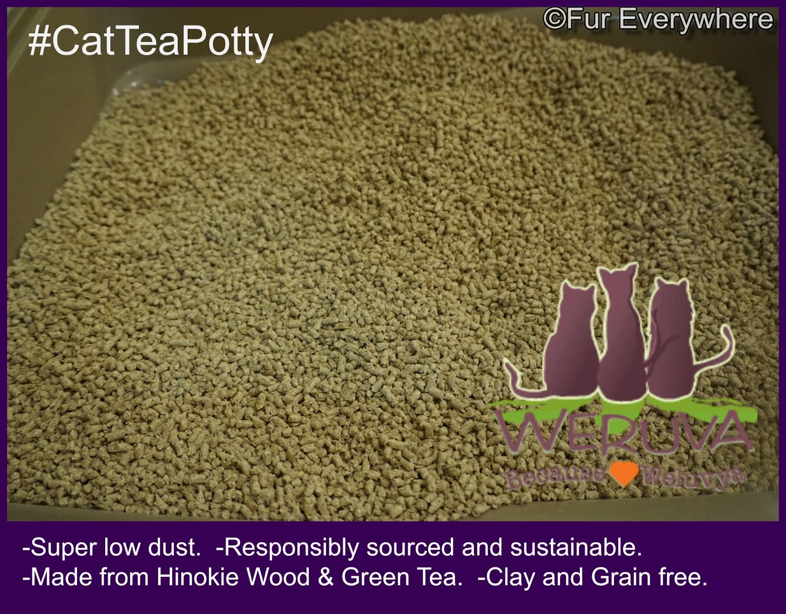 Fur Everywhere It's a CatTeaPotty with Weruva's New Sustainable Cat